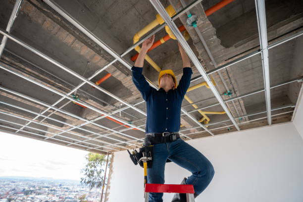 Best Clogged Drain Plumber  in Celebration, FL
