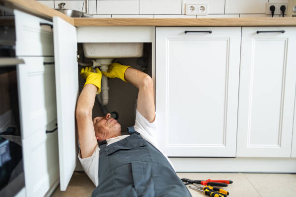 Best Septic Systems  in Celebration, FL