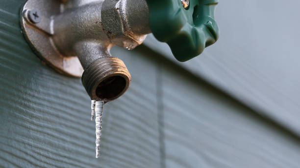 Best Affordable Plumber Near Me  in Celebration, FL